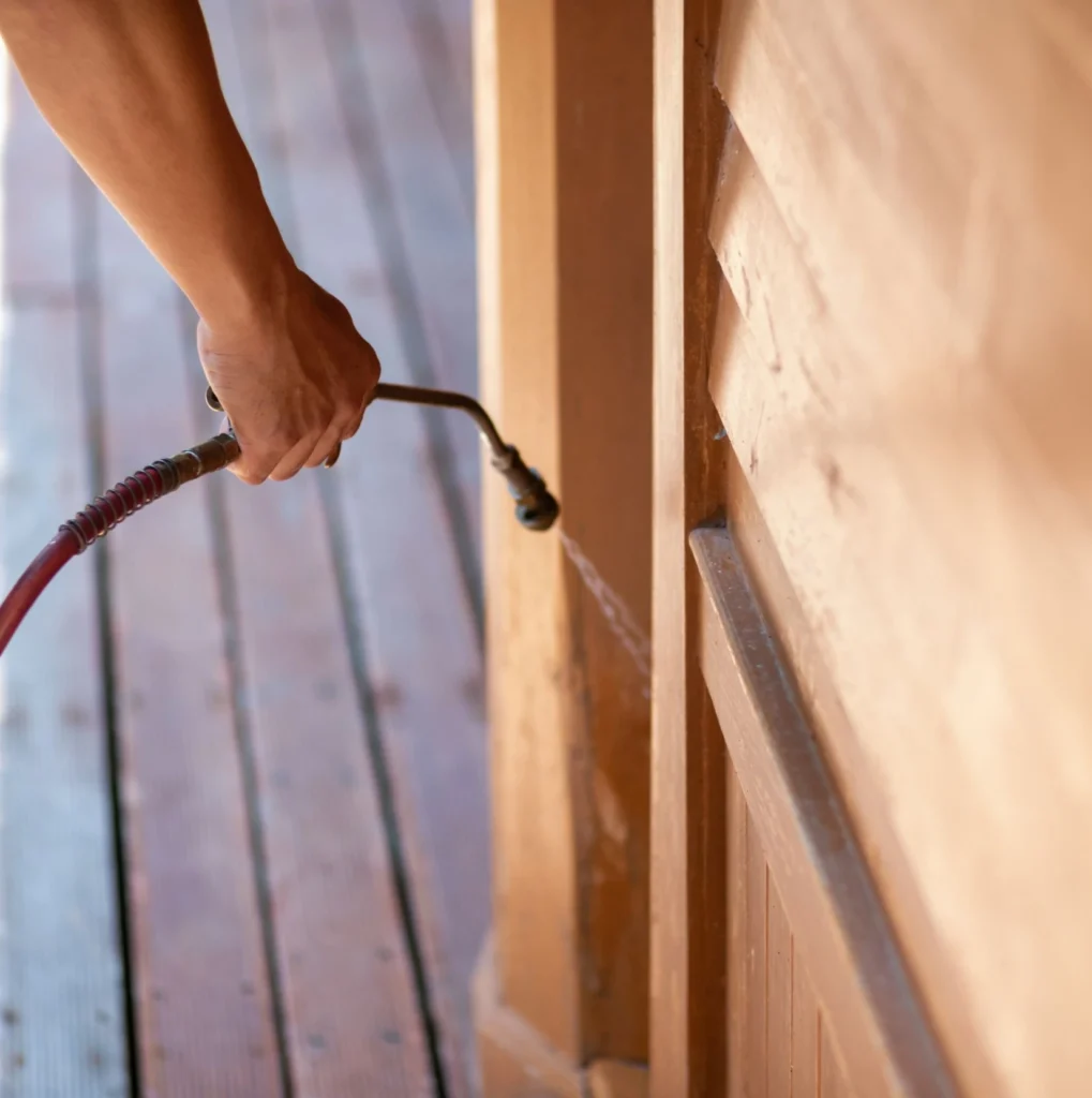 Trusted Pest Control - North Brunswick Pest Control Pros | North Brunswick, NJ | 732-646-6660